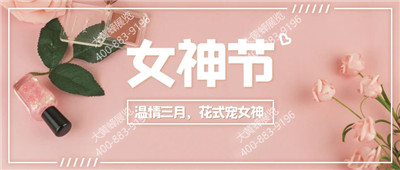 大黃蜂展覽舉辦“溫情三月，花式寵女神”主題活動